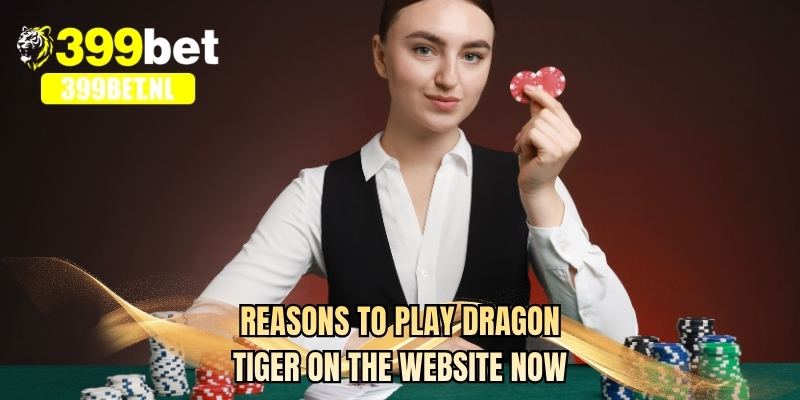Reasons to play Dragon Tiger on the website now